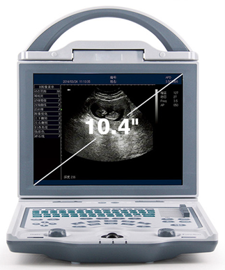 Ultrassom sem Doppler, Portátil - Veterinario - Novo