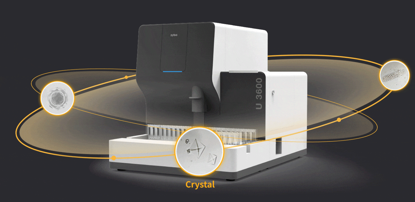 U3600 Urinalysis Hybrid System - Imagem 5